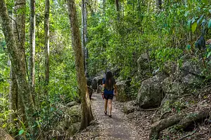 Southern Gold Coast / Northern NSW Hop-on Hop-off Bus