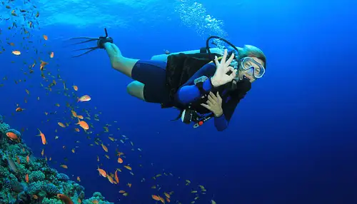 Thai Dive - Koh Tao