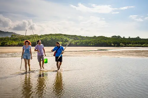 SEIT Daintree Dreaming