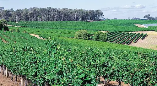 Western Australia day tours
