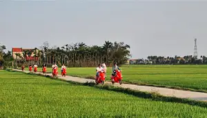 Hoi An Countryside Tour by Electric Scooter | Half-day Guided Tour