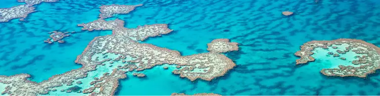 Explore more with the LPK Travel Collection