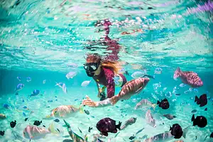 7 Day Perth to Ningaloo Reef & Return