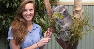 blue mountains day tours